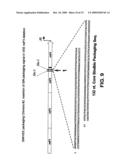 CHIMERIC ALPHAVIRUS REPLICON PARTICLES diagram and image