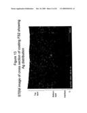 FUNCTIONALLY GRADED BIOCOMPATIBLE COATING AND COATED IMPLANT diagram and image