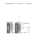 WOUND DRESSINGS INCORPORATING HONEY diagram and image