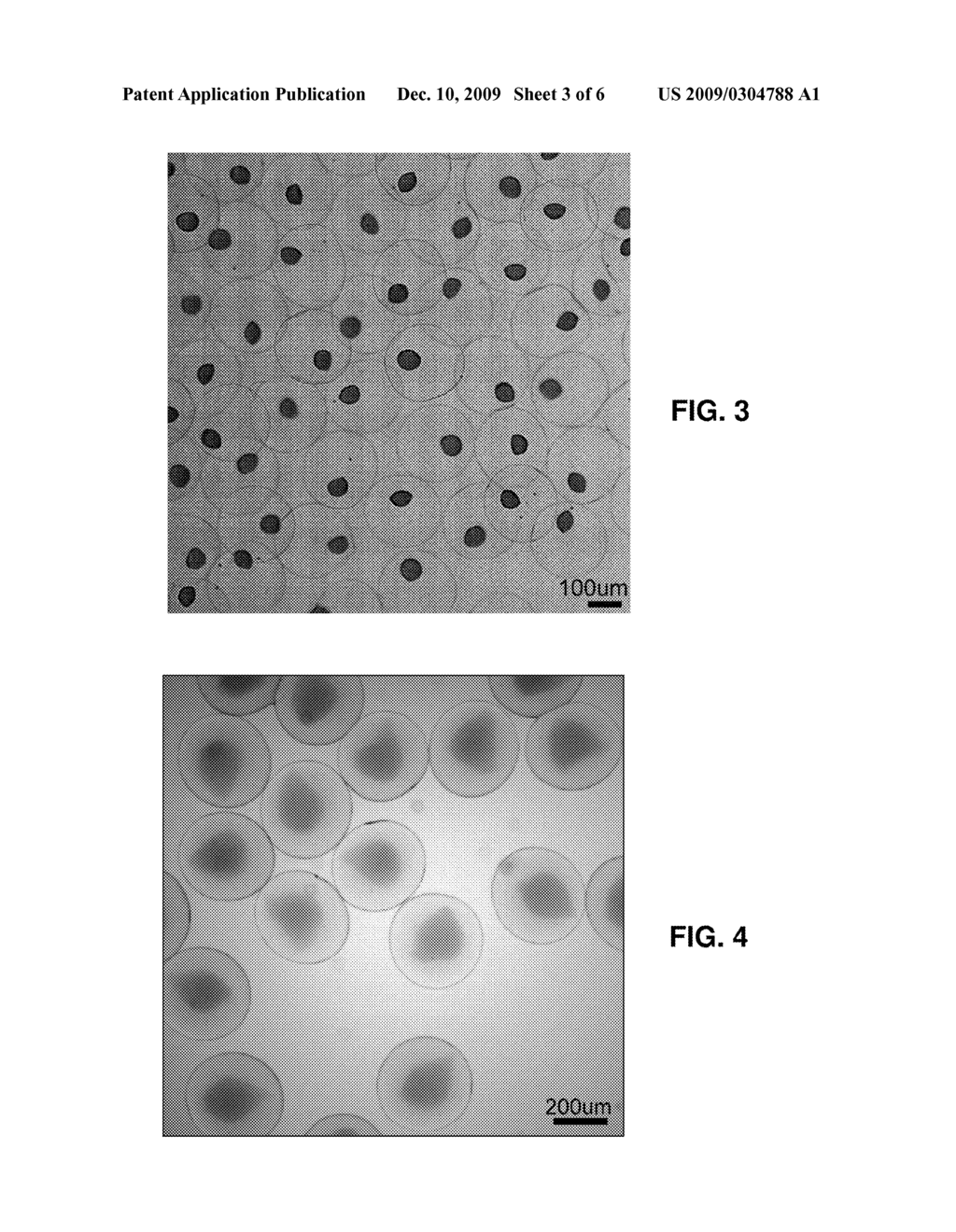 ENCAPSULATED MATERIALS AND METHODS FOR ENCAPSULATING MATERIALS - diagram, schematic, and image 04