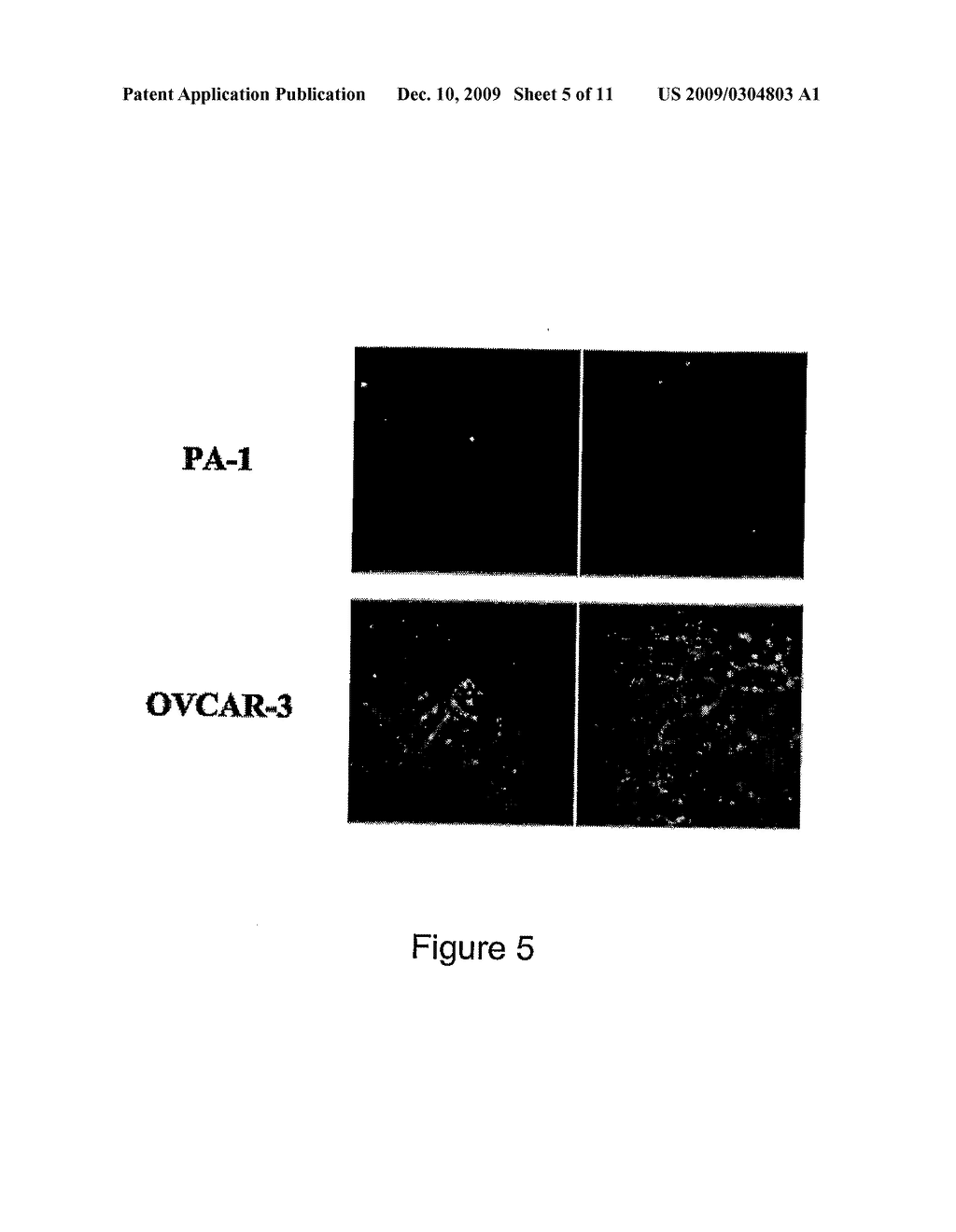 Compositions and methods relating to target-specific photodynamic therapy - diagram, schematic, and image 06