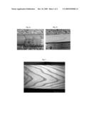 SURFACE COLOR PATTERNING WHILE DRAWING POLYMER ARTICLES diagram and image