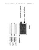 SYSTEMS AND METHODS FOR RECHARGEABLE BATTERY COLLECTOR TAB CONFIGURATIONS AND FOIL THICKNESS diagram and image