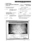 Online protocol/tool for evaluating acne lesions diagram and image