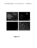 Methods for the Cryopreservation of Mammalian Cells diagram and image