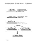 Biomolecular Recognition of Crystal Defects diagram and image