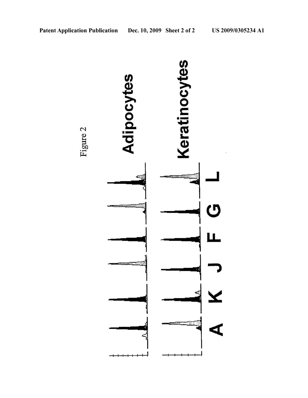 Specific DNAS for Epigenetic Characterisation of Cells and Tissues - diagram, schematic, and image 03