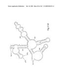 Novel Targets For The Identification Of Antibiotics That Are Not Susceptible To Antibiotic Resistance diagram and image