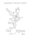 Novel Targets For The Identification Of Antibiotics That Are Not Susceptible To Antibiotic Resistance diagram and image