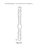 Novel Targets For The Identification Of Antibiotics That Are Not Susceptible To Antibiotic Resistance diagram and image