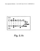 Novel Targets For The Identification Of Antibiotics That Are Not Susceptible To Antibiotic Resistance diagram and image