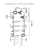 Novel Targets For The Identification Of Antibiotics That Are Not Susceptible To Antibiotic Resistance diagram and image