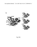 Novel Targets For The Identification Of Antibiotics That Are Not Susceptible To Antibiotic Resistance diagram and image