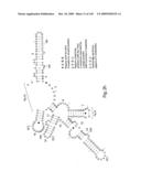 Novel Targets For The Identification Of Antibiotics That Are Not Susceptible To Antibiotic Resistance diagram and image