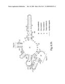 Novel Targets For The Identification Of Antibiotics That Are Not Susceptible To Antibiotic Resistance diagram and image