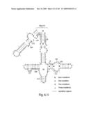 Novel Targets For The Identification Of Antibiotics That Are Not Susceptible To Antibiotic Resistance diagram and image