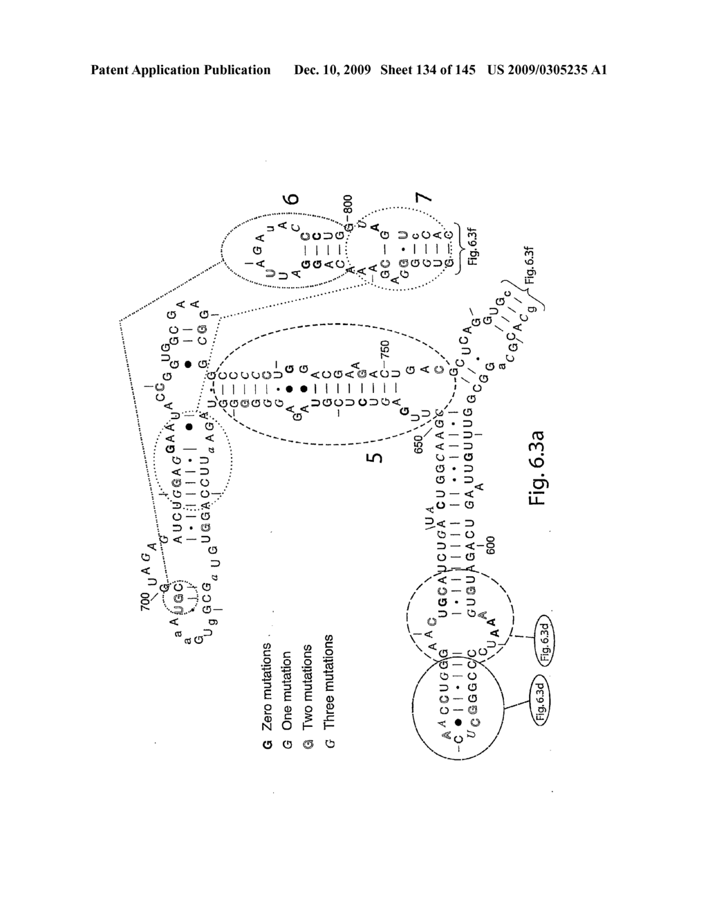 Novel Targets For The Identification Of Antibiotics That Are Not Susceptible To Antibiotic Resistance - diagram, schematic, and image 135