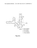 Novel Targets For The Identification Of Antibiotics That Are Not Susceptible To Antibiotic Resistance diagram and image