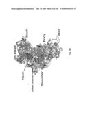 Novel Targets For The Identification Of Antibiotics That Are Not Susceptible To Antibiotic Resistance diagram and image