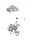 Novel Targets For The Identification Of Antibiotics That Are Not Susceptible To Antibiotic Resistance diagram and image