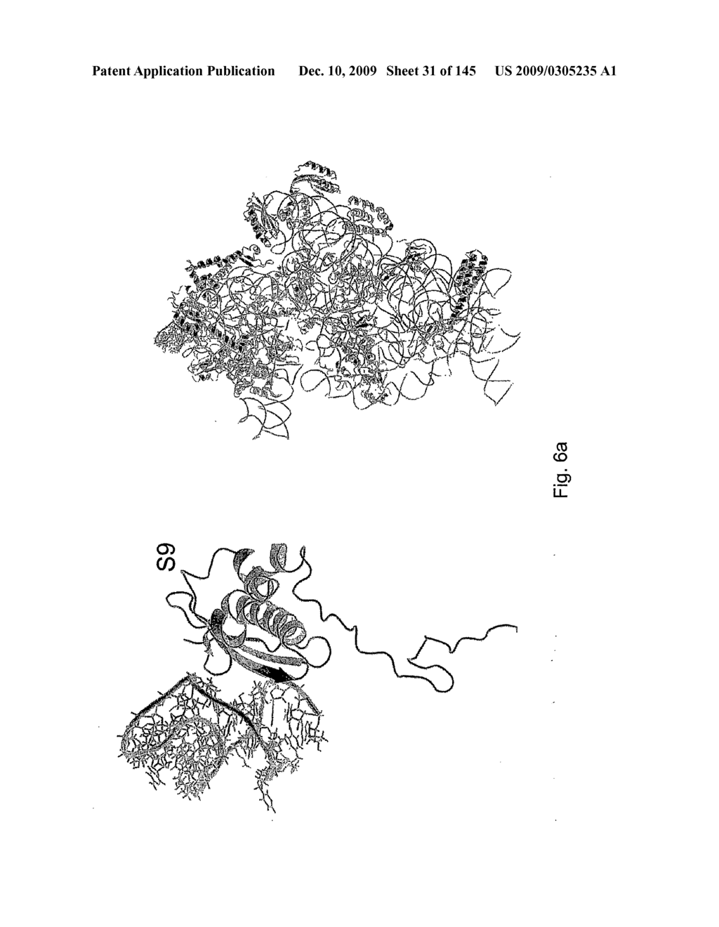 Novel Targets For The Identification Of Antibiotics That Are Not Susceptible To Antibiotic Resistance - diagram, schematic, and image 32