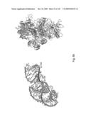 Novel Targets For The Identification Of Antibiotics That Are Not Susceptible To Antibiotic Resistance diagram and image