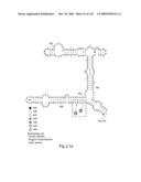 Novel Targets For The Identification Of Antibiotics That Are Not Susceptible To Antibiotic Resistance diagram and image