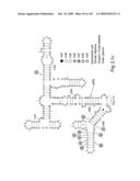 Novel Targets For The Identification Of Antibiotics That Are Not Susceptible To Antibiotic Resistance diagram and image