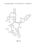 Novel Targets For The Identification Of Antibiotics That Are Not Susceptible To Antibiotic Resistance diagram and image