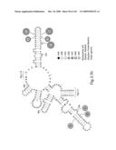 Novel Targets For The Identification Of Antibiotics That Are Not Susceptible To Antibiotic Resistance diagram and image