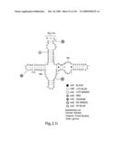 Novel Targets For The Identification Of Antibiotics That Are Not Susceptible To Antibiotic Resistance diagram and image