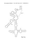 Novel Targets For The Identification Of Antibiotics That Are Not Susceptible To Antibiotic Resistance diagram and image