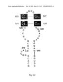 Novel Targets For The Identification Of Antibiotics That Are Not Susceptible To Antibiotic Resistance diagram and image