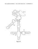 Novel Targets For The Identification Of Antibiotics That Are Not Susceptible To Antibiotic Resistance diagram and image