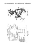 Novel Targets For The Identification Of Antibiotics That Are Not Susceptible To Antibiotic Resistance diagram and image