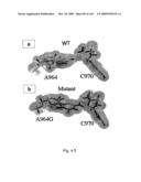 Novel Targets For The Identification Of Antibiotics That Are Not Susceptible To Antibiotic Resistance diagram and image