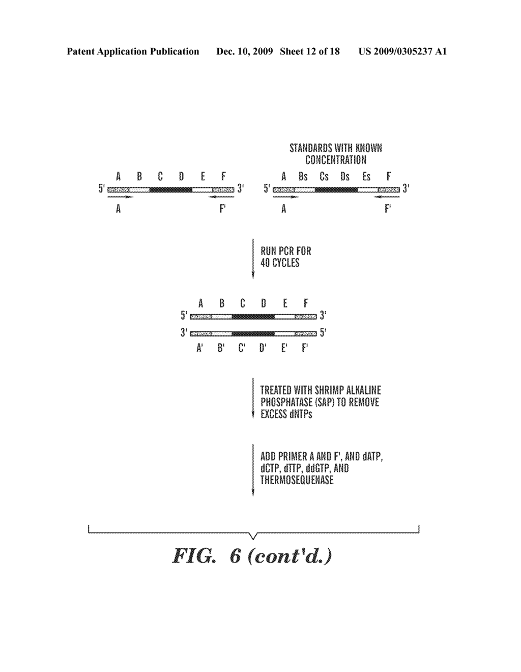 QUANTIFICATION OF NUCLEIC ACIDS AND PROTEINS USING OLIGONUCLEOTIDE MASS TAGS - diagram, schematic, and image 13