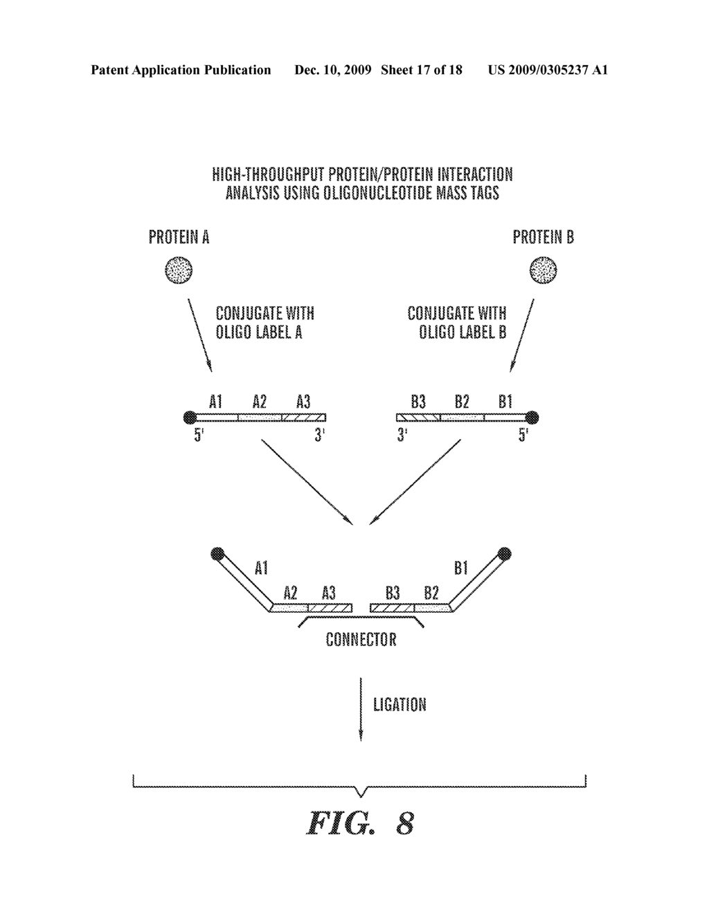 QUANTIFICATION OF NUCLEIC ACIDS AND PROTEINS USING OLIGONUCLEOTIDE MASS TAGS - diagram, schematic, and image 18