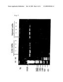 METHOD FOR DETECTION OF MICROORGANISM AND KIT FOR DETECTION OF MICROORGANISM diagram and image