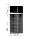 METHOD FOR DETECTION OF MICROORGANISM AND KIT FOR DETECTION OF MICROORGANISM diagram and image