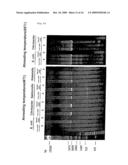 METHOD FOR DETECTION OF MICROORGANISM AND KIT FOR DETECTION OF MICROORGANISM diagram and image