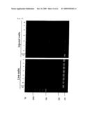 METHOD FOR DETECTION OF MICROORGANISM AND KIT FOR DETECTION OF MICROORGANISM diagram and image