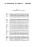 Methods and species-specific primers for detection and quantification of Streptococcus mutans and Streptococcus sanguinis in mixed bacterial samples diagram and image