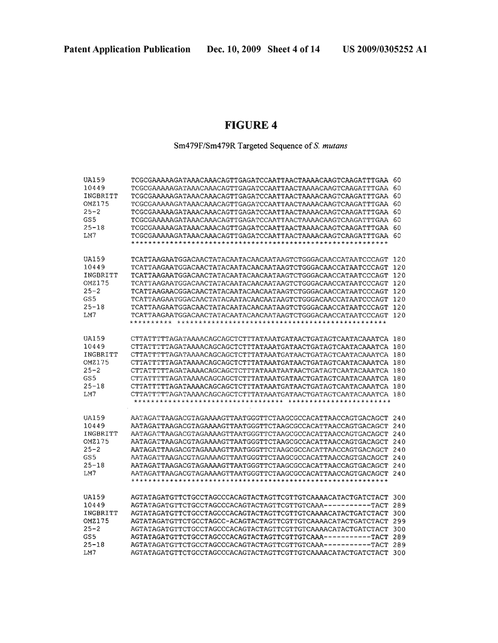 Methods and species-specific primers for detection and quantification of Streptococcus mutans and Streptococcus sanguinis in mixed bacterial samples - diagram, schematic, and image 05