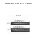 Methods and species-specific primers for detection and quantification of Streptococcus mutans and Streptococcus sanguinis in mixed bacterial samples diagram and image