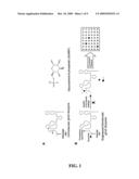 Methods and Compositions Related to the Modulation of Riboswitches diagram and image