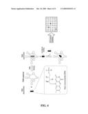 Methods and Compositions Related to the Modulation of Riboswitches diagram and image