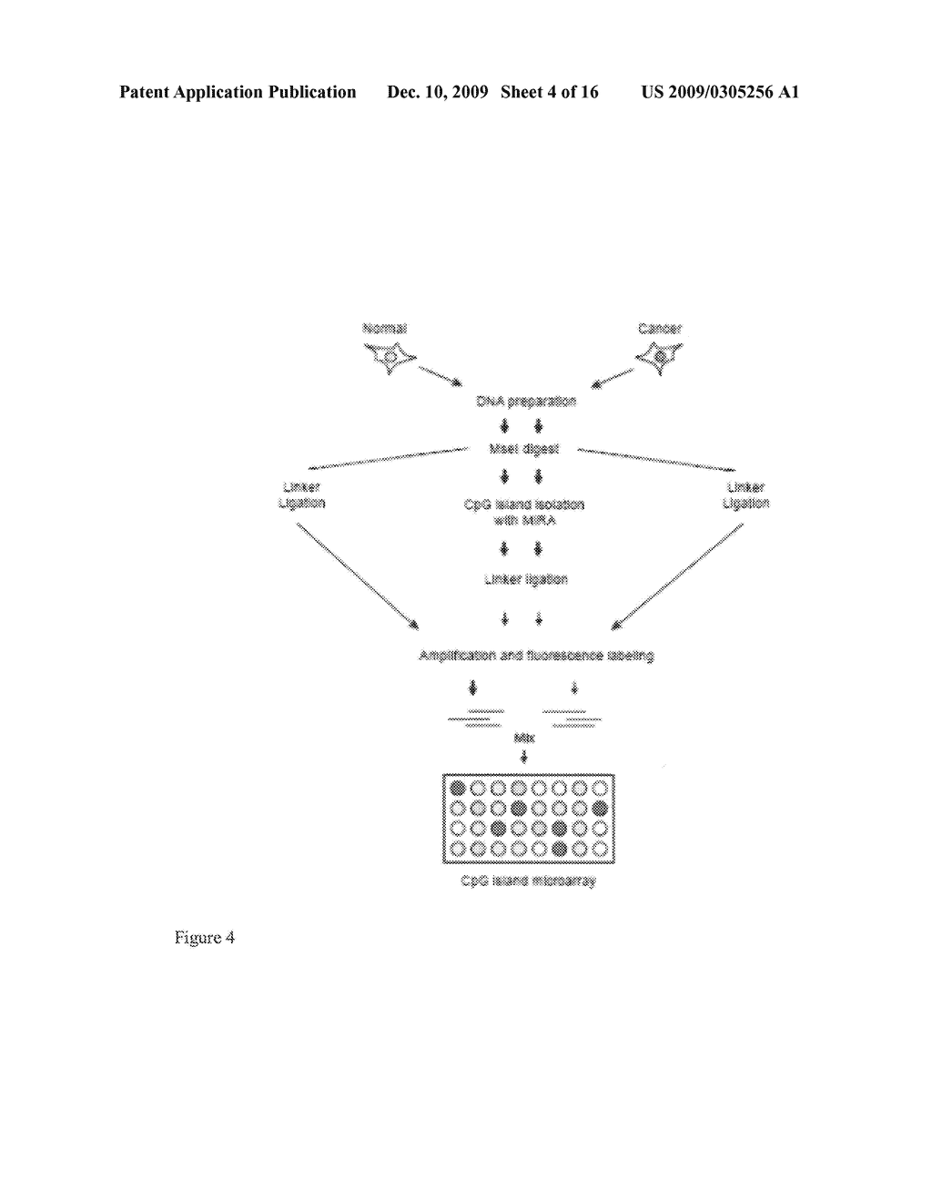 DNA methylation biomarkers for lung cancer - diagram, schematic, and image 05