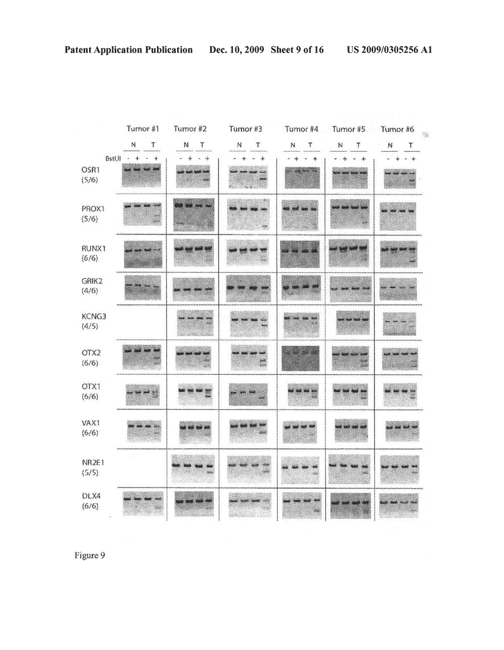 DNA methylation biomarkers for lung cancer - diagram, schematic, and image 10