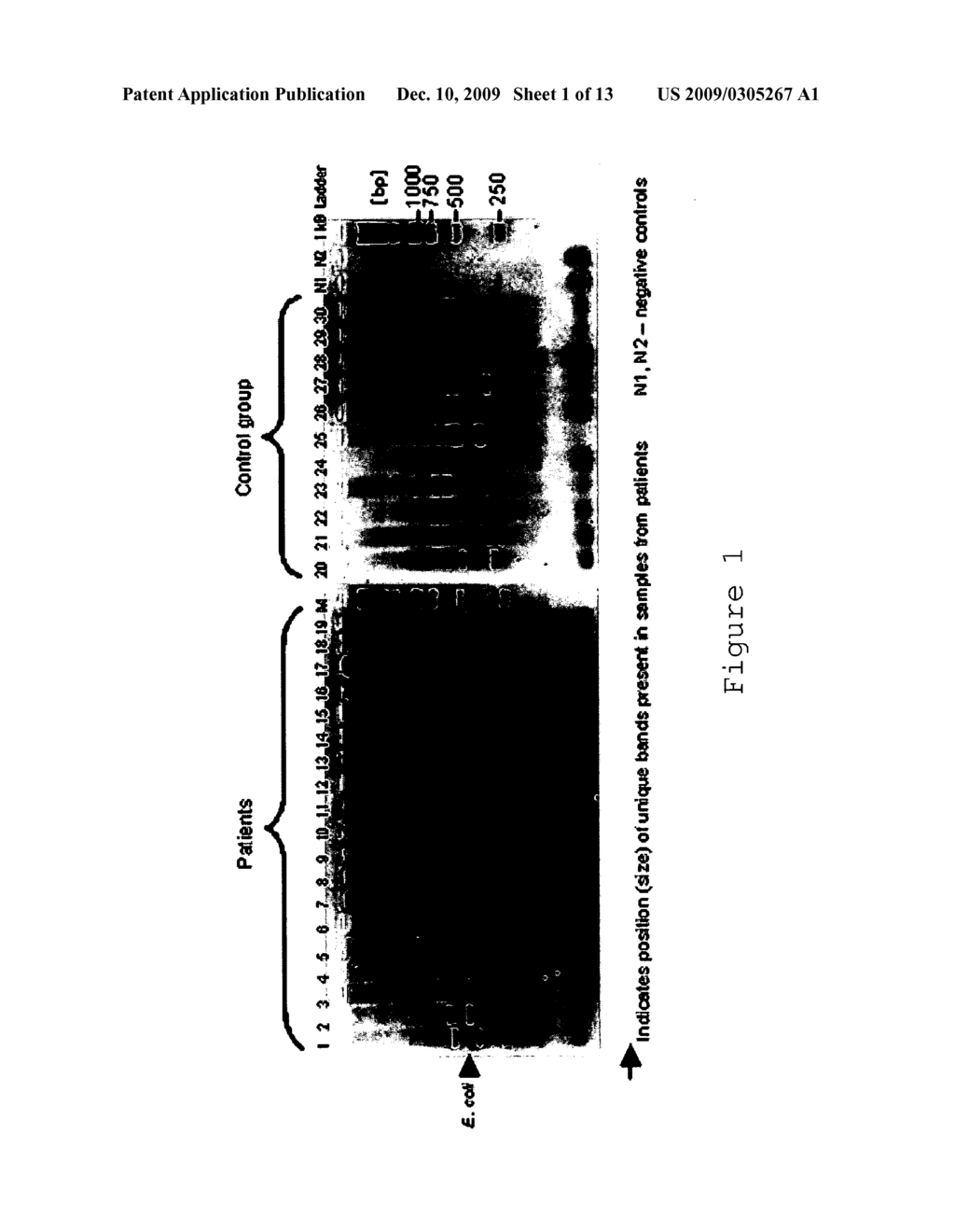 MICROBIAL MARKERS OF INFLAMMATORY BOWEL DISEASE - diagram, schematic, and image 02